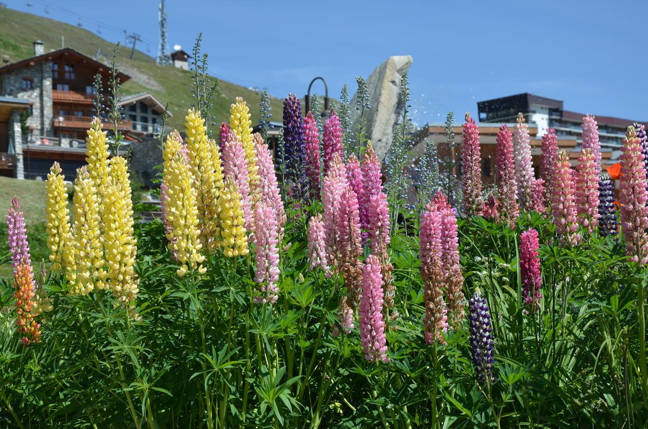 Residence Santa Terra Tignes Ngoại thất bức ảnh
